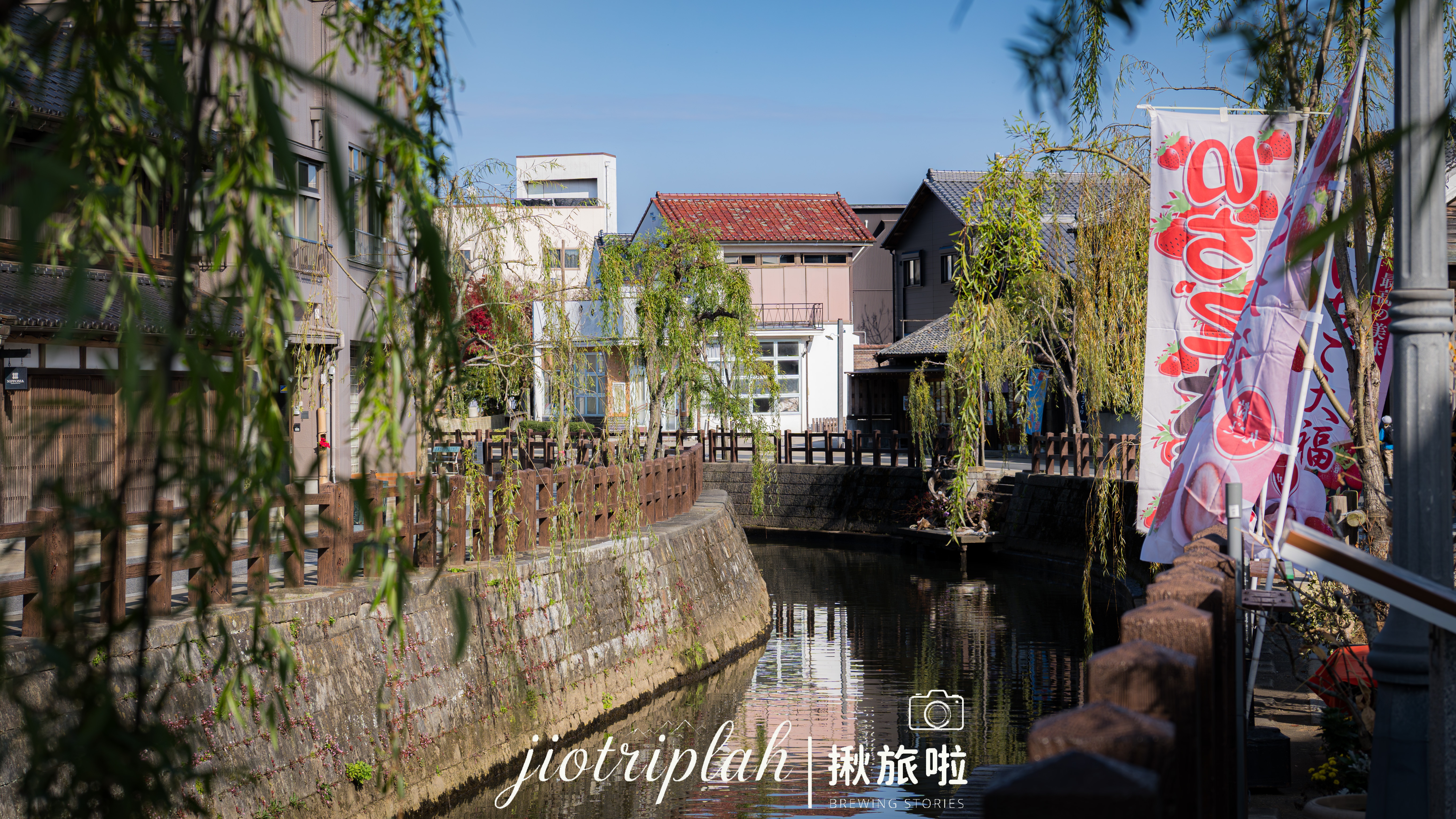 仰望百年老字號