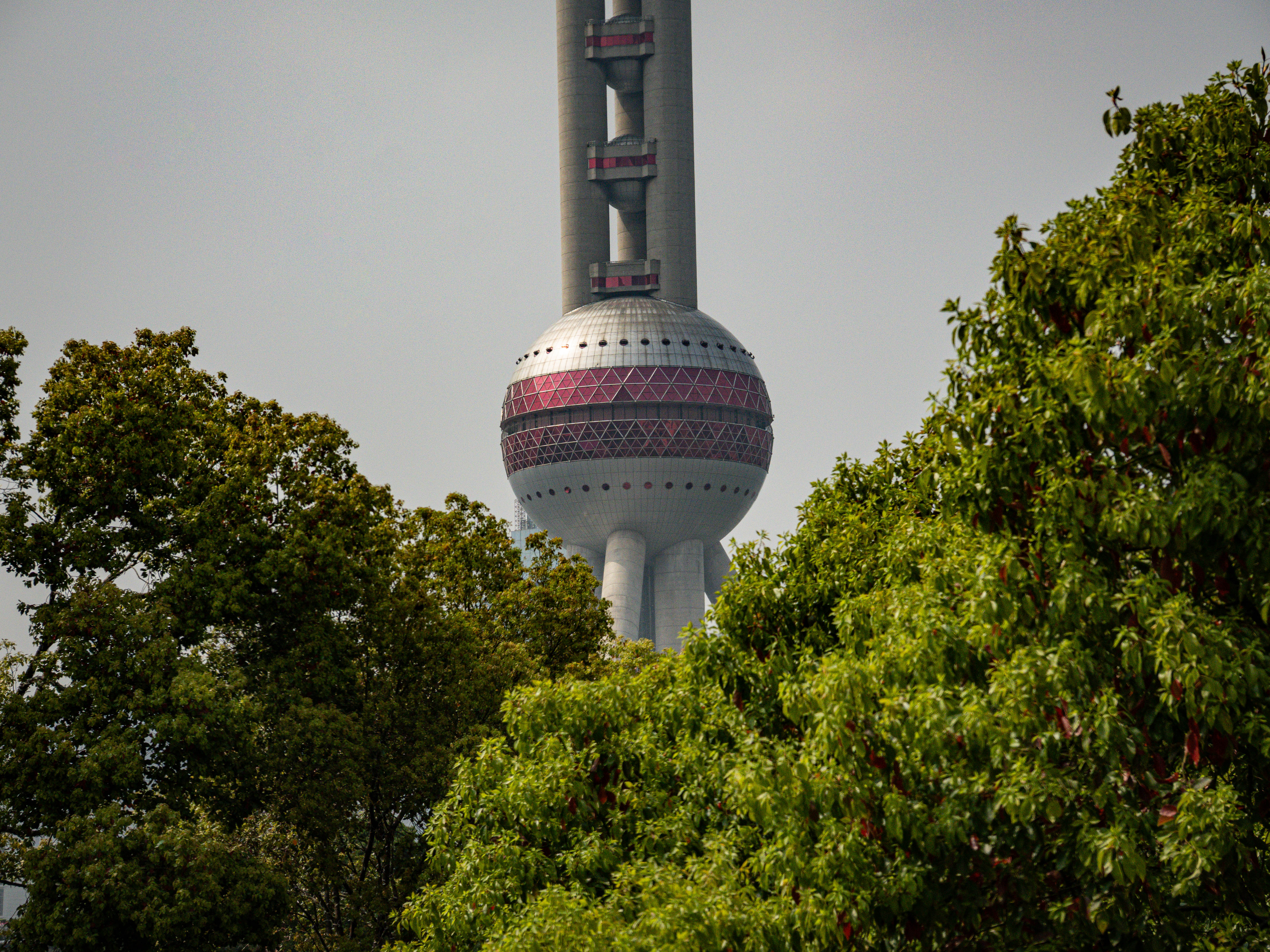 綠意中的明珠塔