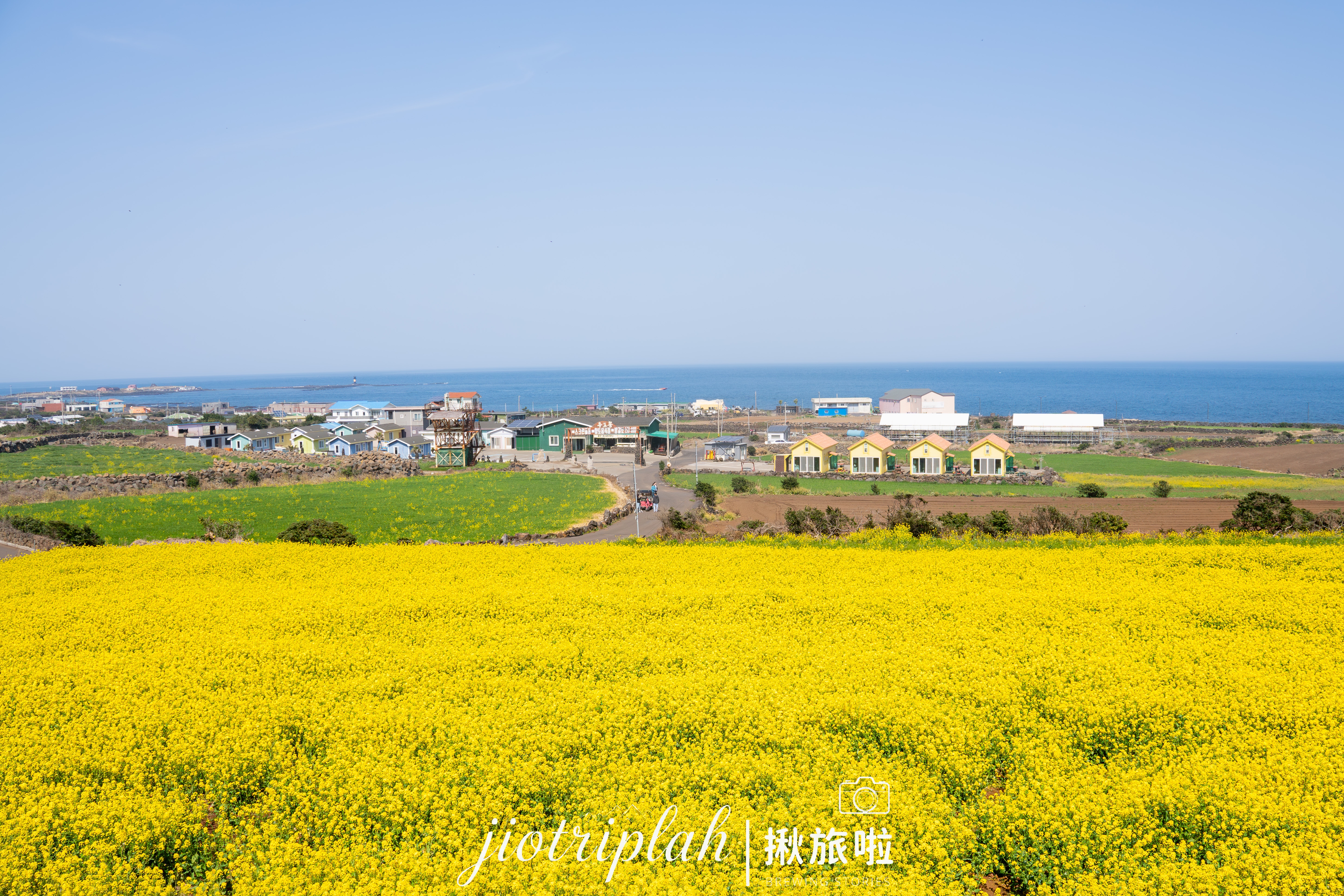 花海盡頭的藍色邊界